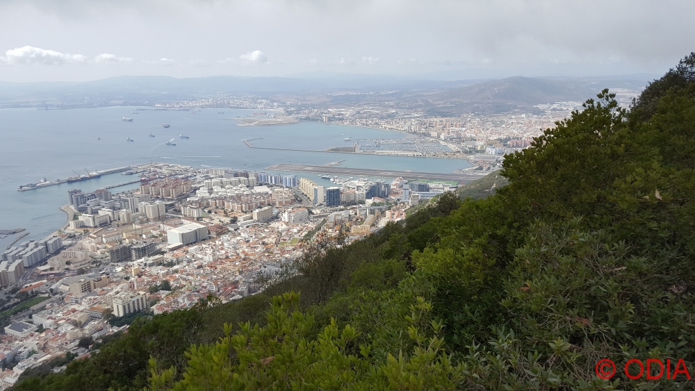 gibraltar (14)