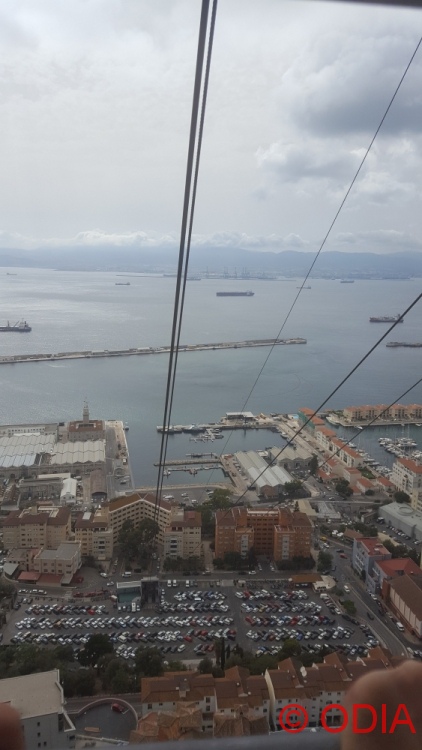 gibraltar (5)