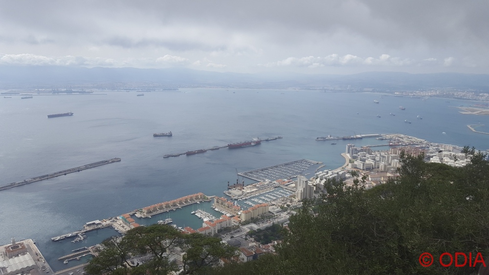 gibraltar (6)